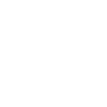 SKYN