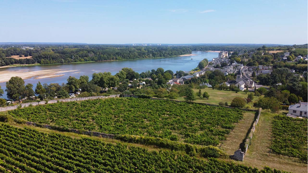 Vins de loire